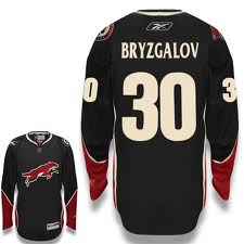Phoenix Coyotes #30 BRYZGALOV Black Jersey